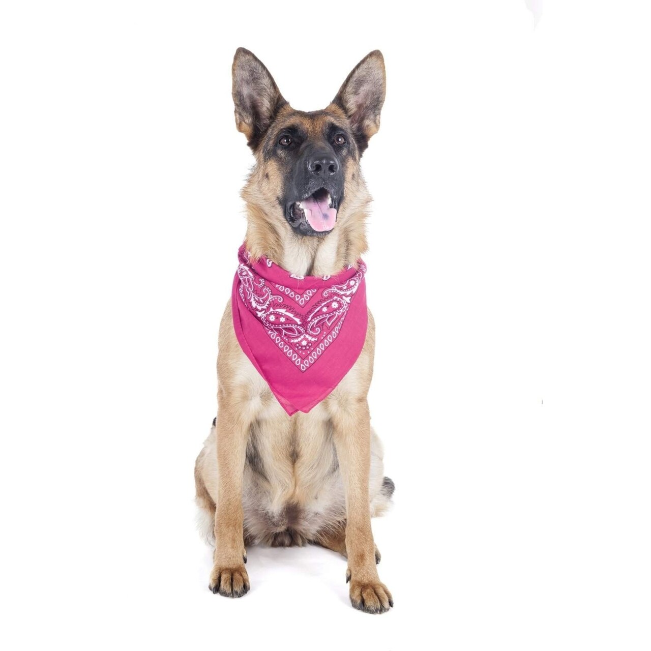 5 Pack Paisley Dog Bandanas Polyester Triangle 40X26 For Medium Large Pets